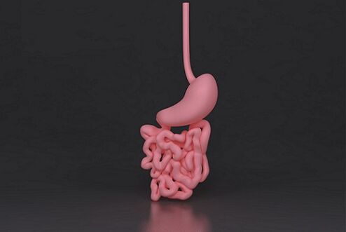 intestins parasités
