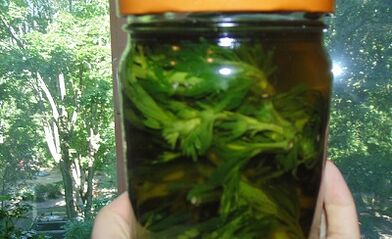 La teinture à base de plantes pour éliminer les parasites du corps