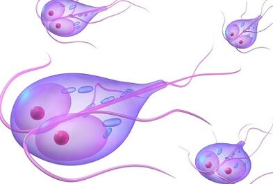 Types de parasites dans le corps humain